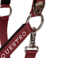 Pikkukuva 6 / 7: Equestro Riimu Ja Lyijy Shiny Fittings  Cob