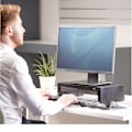 Miniatyrbillede 7 af 7: Fellowes Designer Suites Monitor Stand Sort