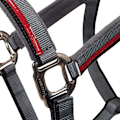 Pikkukuva 3 / 6: Equestro Red Trim Riimu Ja Talutin  Full