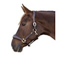 Pikkukuva 1 / 2: Waldhausen Riimu Leather X-line Anatomic Ruskea Full