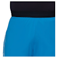 Miniatyrbillede 6 af 6: Mammut Aenergy Tr Shorts Sort 48 Mand