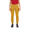 Miniatyrbillede 1 af 5: Salewa Leggings Puez Dry´ton Responsive Cargo Brun S Kvinde