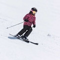 Miniatyrbillede 3 af 4: Bolle Rocket Plus Skibriller Rosa Sunshine/CAT3