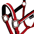 Pikkukuva 4 / 5: Equestro White Trim Riimu Ja Talutin  Full