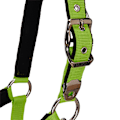 Pikkukuva 5 / 7: Equestro Riimu Ja Lyijy Shiny Fittings  Cob