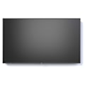 Miniatyrbild 9 av 10: Nec Övervaka P435 43´´ Uhd Led Lcd Blå One Size / EU Plug