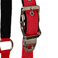 Pikkukuva 3 / 7: Equestro Riimu Ja Lyijy Shiny Fittings  Cob