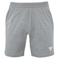 Miniatyrbild 1 av 2: Tecnifibre Shorts Team Grå 12-14 Years Pojke