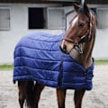 Miniatyrbillede 5 af 5: Equitheme Underformular Classic 200g Blå 5´6´´