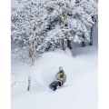 Miniatyrbillede 6 af 6: Bataleon Thunderstorm Wide Snowboard Sort 159W