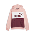 Miniatyrbild 1 av 2: Puma Luvtröja Ess Block Fl Rosa 4-5 Years Pojke