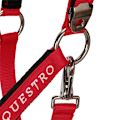 Pikkukuva 6 / 7: Equestro Riimu Ja Lyijy Shiny Fittings  Cob