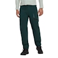 Miniatyrbild 1 av 6: Adidas Byxor Terrex Yearound Soft Shell Grönt 48 / Regular Man