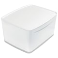 Miniatyrbillede 1 af 9: Leitz Stor Med Låg Opbevaringsboks Mybox Wow