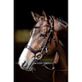 Pikkukuva 5 / 5: Harry´s Horse Anatomic Release Suitset Ruskea Cob