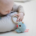 Miniatyrbild 7 av 7: Done By Deer Liten Sensorisk Leksakssats Lalee Flerfärgad 0 Months