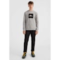 Miniatyrbillede 6 af 6: O´neill Sweatshirt Cube Grå M Mand