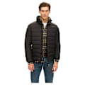 Miniatyrbillede 1 af 4: Superdry Fuji Embroidered Padded Jakke Sort L Mand