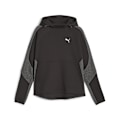 Miniatyrbillede 1 af 2: Puma Hættetrøje Evostripe Sort XS Kvinde
