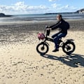 Miniatyrbillede 8 af 8: Sammenklappelig elcykel med fat CMACEWHEEL RX20MAXT, dobbelt motor 1500W, sort