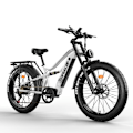 Miniatyrbillede 4 af 11: Tifgalop ES7 26" Elcykel med store dæk 750W 52V 19Ah Rækkevidde 40-90 km
