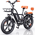 Miniatyrbillede 1 af 11: Elcykel RIDSTAR FM001, 2 sæder, 20", 1000W motor, 48V 15Ah batteri, tykke dæk