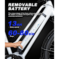Miniatyrbillede 8 af 11: Elcykel med servostyring HedaTX TX520, midterdrev 250W, 48V 13Ah batteri, 27,5", til bycykling