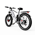 Pikkukuva 5 / 7: Sähkömaastopyörä DUOTTS F26, 26", 48V 750W * 2 kaksoismoottoria