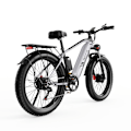 Pikkukuva 7 / 7: Sähkömaastopyörä DUOTTS F26, 26", 48V 750W * 2 kaksoismoottoria