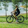 Miniatyrbillede 6 af 9: Elcykel til byen DYU Stroll 1, motor 36V 250W, rækkevidde 100 km