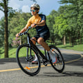 Miniatyrbillede 7 af 9: Elcykel til byen DYU Stroll 1, motor 36V 250W, rækkevidde 100 km
