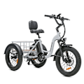 Miniatyrbild 2 av 9: Elektrisk trehjuling för last JOBOBIKE Triker, Bafang-motor, för seniorer