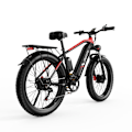 Pikkukuva 6 / 7: Sähkömaastopyörä DUOTTS F26, 26", 48V 750W * 2 kaksoismoottoria