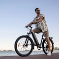 Miniatyrbillede 9 af 10: Elcykel DYU C1, Motor 36V 350W, Step-Thru, 26", Sort