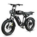 Miniatyrbillede 3 af 4: Elcykel SAMEBIKE M20-III, Motor 2000W, 48V 36Ah Dobbeltbatteri