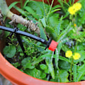 Miniatyrbild 5 av 5: 100 st droppbevattning, justerbart automatiskt droppbevattningssystem, droppslang, mikrosprinklers, emitterdroppare för växter