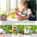 Miniatyrbillede 3 af 5: 12 stk. plantevanding kugler selvvandingssystem pvc selvvanding