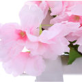 Miniatyrbillede 2 af 5: Champagnefarvet - 2 stk x 230 cm kunstig blomst Sakura hængende V