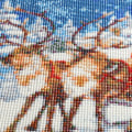 Miniatyrbilde 3 av 5: （54）DIY Diamantmaleri Julekit, 5D Julebroderi D