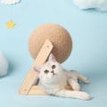 Pikkukuva 5 / 5: 1 kpl raapallo jalustalla kissalle - 12 cm beige