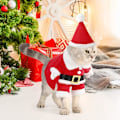 Miniatyrbild 5 av 5: Jul husdjurskläder söt tomten katt hundkläder jul