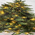 Miniatyrbild 4 av 5: Grön julgran väggbonad med lampor - Väggdekor för B