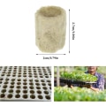 Miniatyrbilde 2 av 5: 50 stk Hydroponiske Rockwool Cube Block Plugger Rockwools Voksende