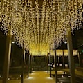 Miniatyrbillede 1 af 4: Varmt hvid 5 * 0,8 meter - stikversion + hale stik, LED-farve