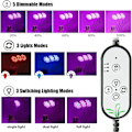 Miniatyrbillede 3 af 5: Plantevækstlampe, 360° Full Spectrum Havearbejdslampe, Meget Velegnet