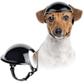 Miniatyrbillede 1 af 5: (L)Hjelm til hund, hovedbeskyttelse, kæledyrshjelm med ørehuller, motorcykel