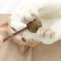 Miniatyrbild 4 av 5: 3 Kattdjur Catnip Snutt Kattdjur Matatabi Leksak Kattleksaker med S