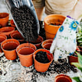 Miniatyrbillede 3 af 5: Rustfrit havehave skovl i rustfrit stål til plantning, omplantning, lugning