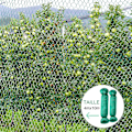 Miniatyrbillede 4 af 5: Fuglenet, 2 stk. 4*10m Grøn Have Fugleplante Net Beskyttelse