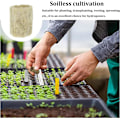 Miniatyrbillede 3 af 5: 50 stk. Hydroponiske Rockwool Cube Block Plugs Rockwools Voksende